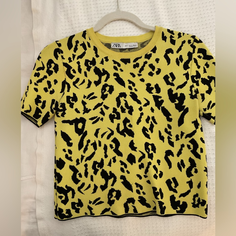 Zara Leopard Top